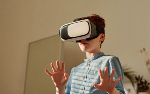 The Web Developer Bootcamp